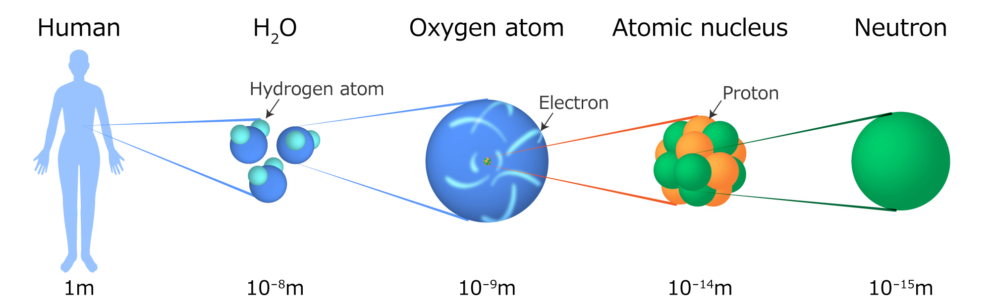 What kind of object is a neutron?